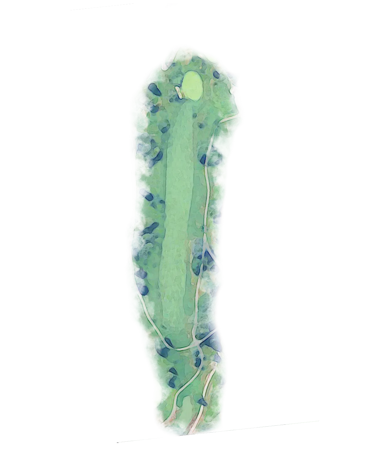 SG Hole7