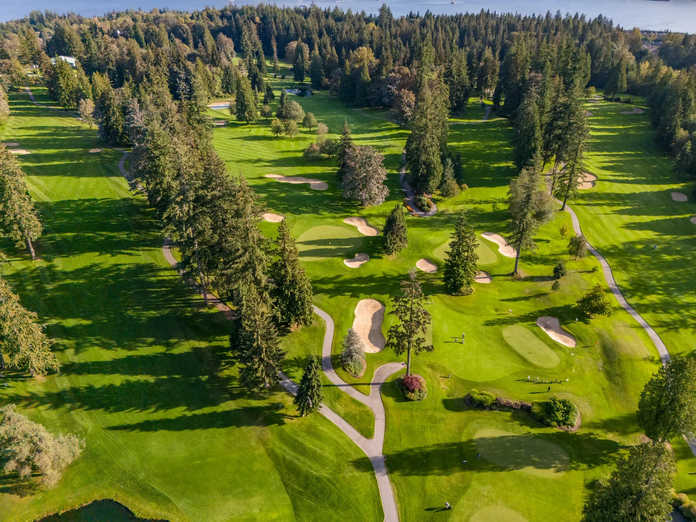 Seymour ClubPros Hero web