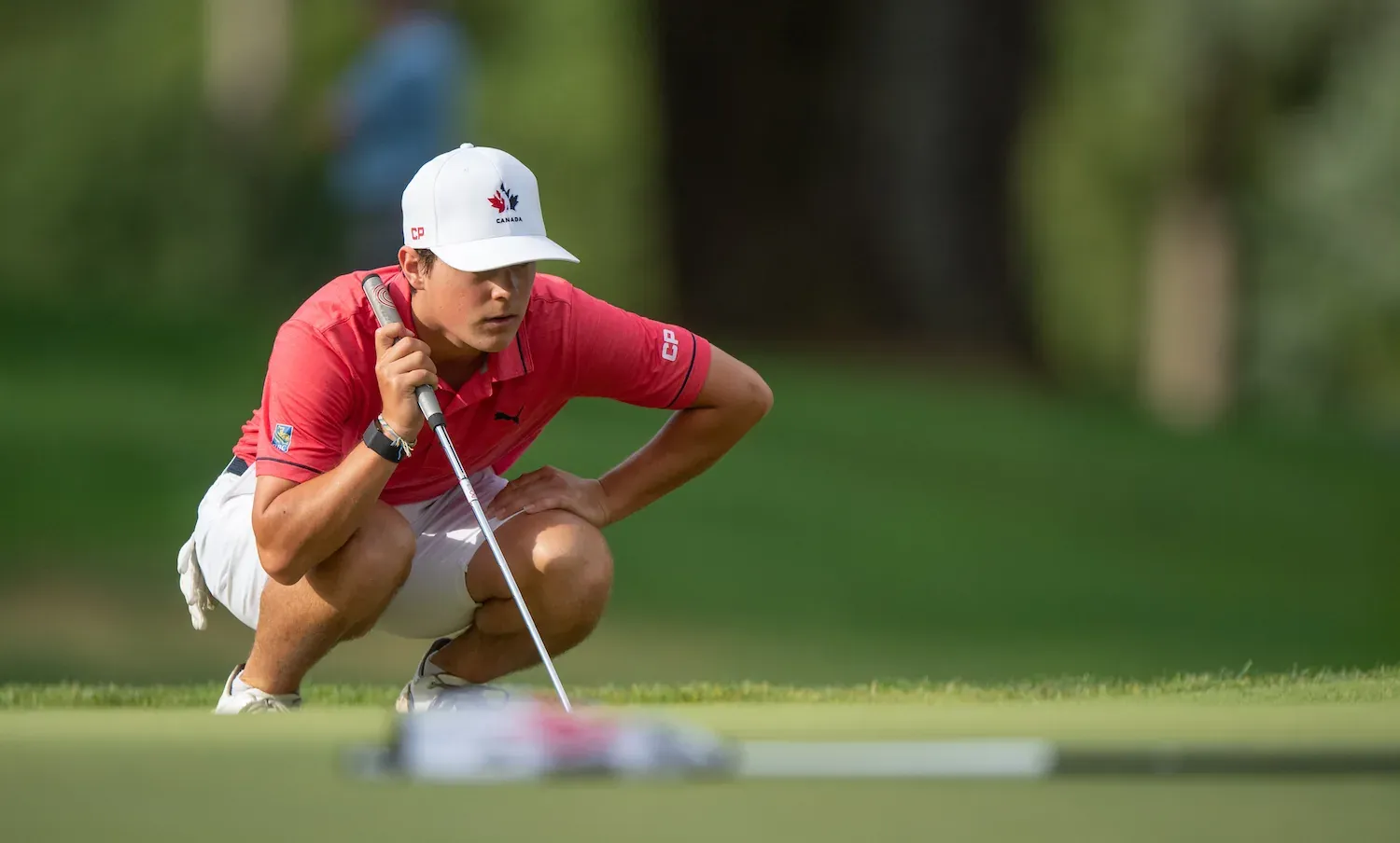 Seymour JuniorGolf PathwaySuccess web