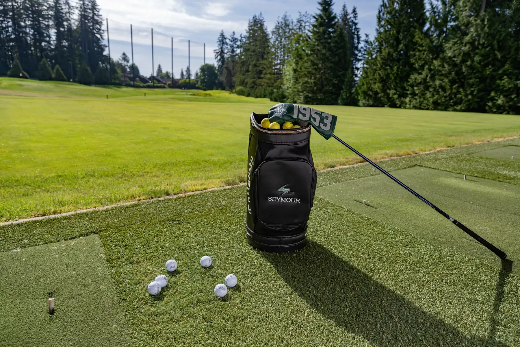 Seymour-Public-Practice Facility